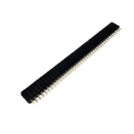 female berg strip