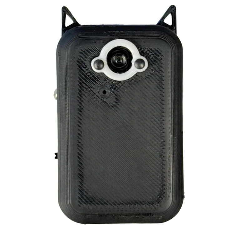 AI Pin Project